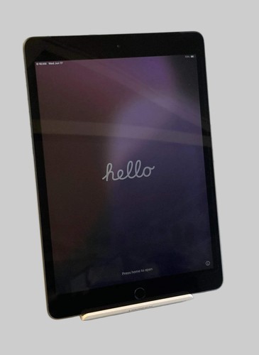 Apple ipad generazione - apple, 7a