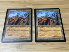 Wasteland Tempest MTG