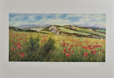 Franco azzinari - franco,