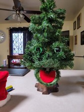 albero parlante abete douglas