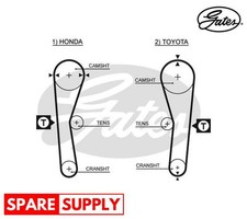 Cinghia distribuzione per