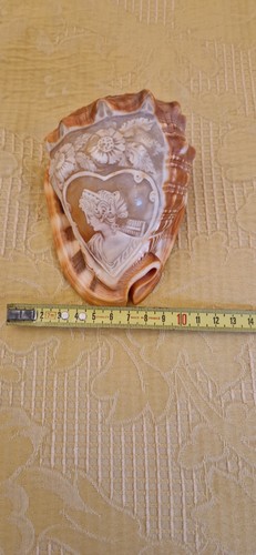 Cammeo conchiglia sardonica - su,