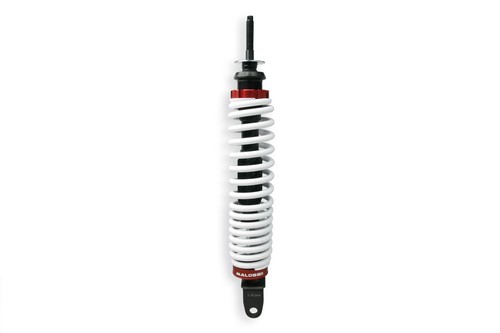 Ammortizzatore malossi rs1 - ammortizzatore,