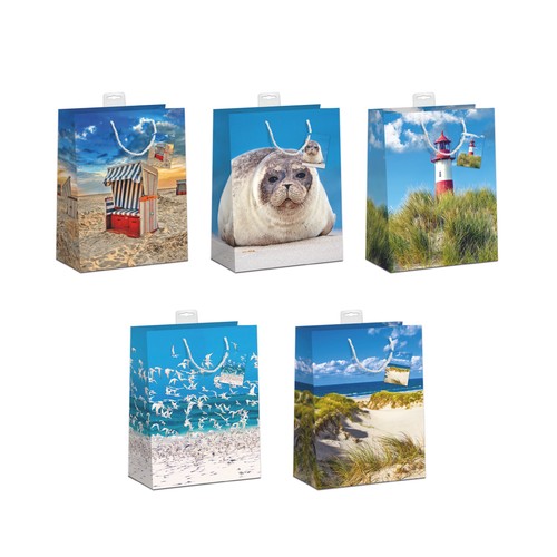 Sacchetti regalo assortiti - 10, regalo,