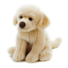DOG ORAZIO LABRADOR SITTING