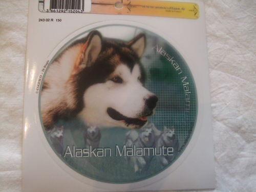 Autocollant motif chien - motif,