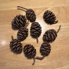 Set 9 x Cone di Pino Sequoia
