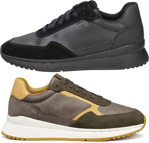 Scarpa uomo sneaker geox - sneaker,