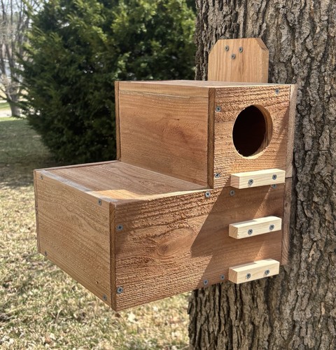 Large solid cedar backyard - large,