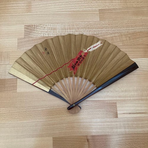 Ventilatore pieghevole
