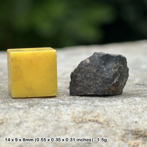 Nwa 869 meteorite chondrite - nwa,