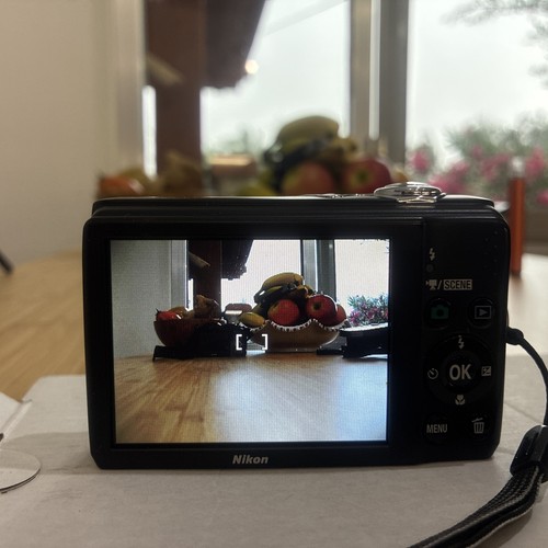 Nikon coolpix l22 - l22, 12