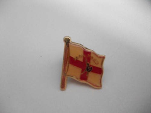 Pins spilla distintivo lega - pins,