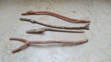 Corallo Naturale Ramo ORO 220