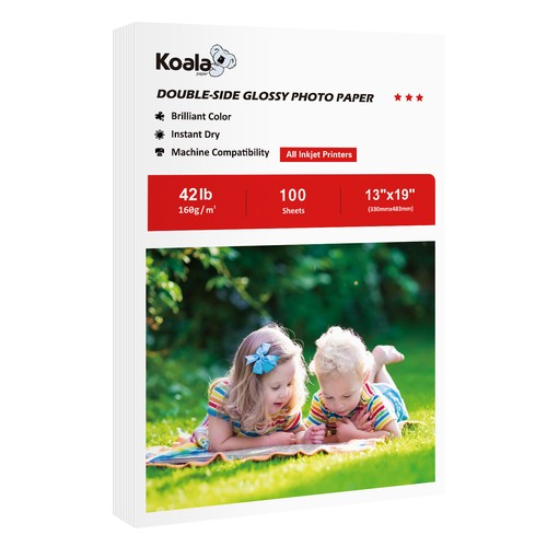Koala carta fotografica - , a