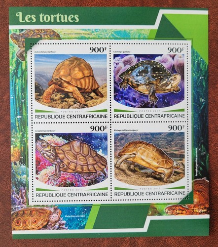 Central african rep - central,
