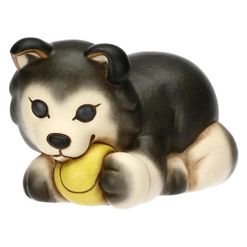 Cane husky thun polo - cane,