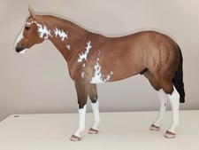 Cavallo horse Artist Resin Seunta POCO by K. Cantrell, Deb Brown - no Breyer