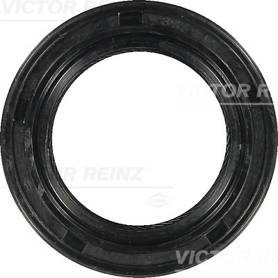 Victor reinz 53232 00 - victor, 81-53232-00
