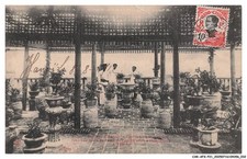 CAR-AFXP21-1089-VIET-NAM -