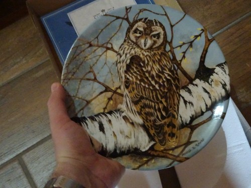 Piatto ceramica artistica - ceramica,