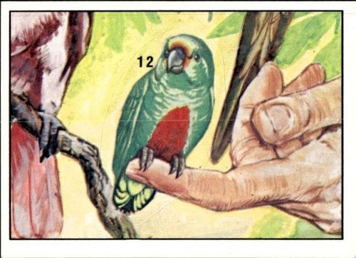 Figurina uccelli panini - uccelli, ed.panini