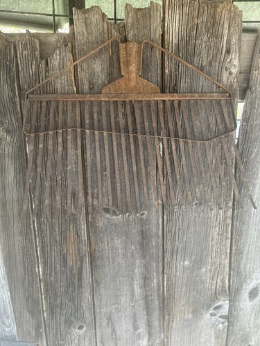 Antico grande dente metallo