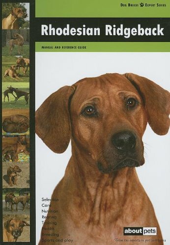 Rhodesian ridgeback dog - rhodesian, (dog