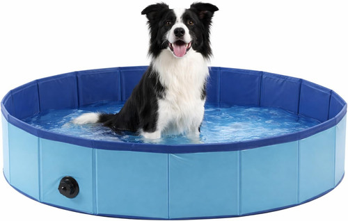 Piscina per cani - per,