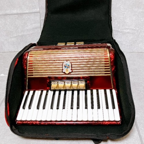 Fisarmonica campione del - , mondo