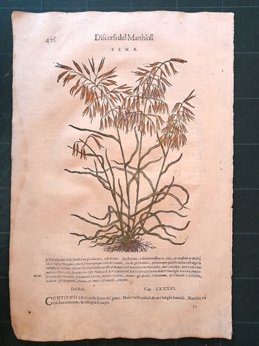 Mattioli matthioli erbario - matthioli, a