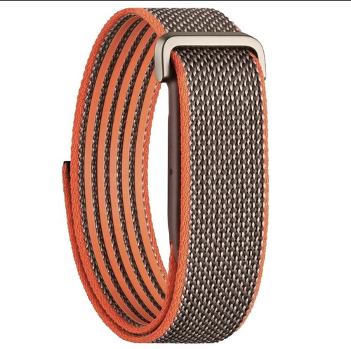 Google fitbit air prevendita - air,