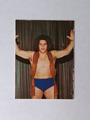 Andre the giant - andre,