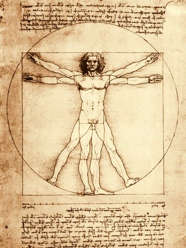 Quadro leonardo vinci uomo - quadro, da