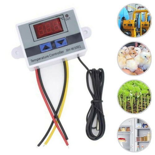 Incubatrice 110v regolatore - 110v, di