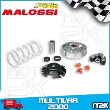 519019 VARIATORE MULTIVAR 2000