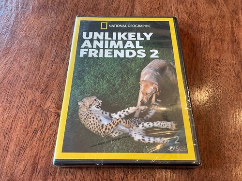 Unlikely animal friends - animal, 2