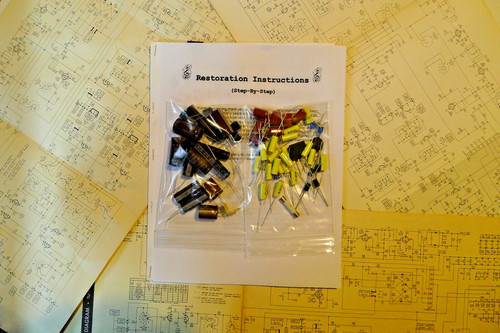 Leslie 251 restoration kit