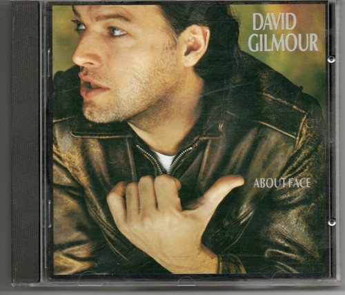 David gilmour about face - face,