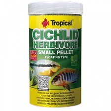 Tropical Cichlid Herbivore