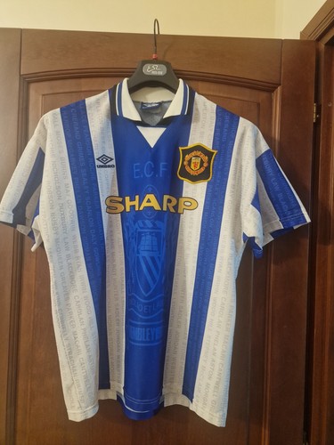 Manchester united 1995 - united, 1995-1996