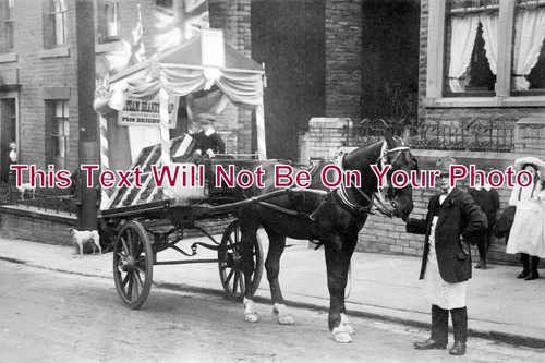 8190 brighouse horse - brighouse,