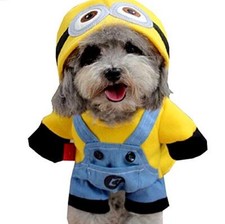 Costume Cattivissimo Me