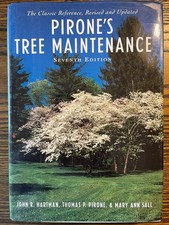 Pirone's Tree Maintenance 7