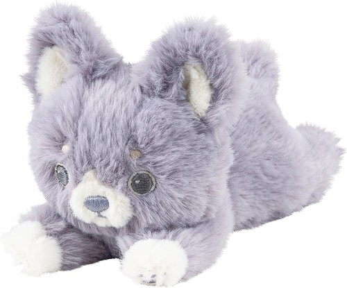 Chihuahua fluffy piccola - fluffy,