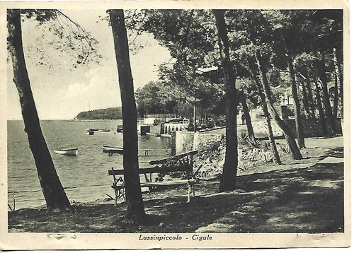 1942 cartolina istria - ,