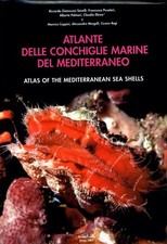 Atlante delle conchiglie