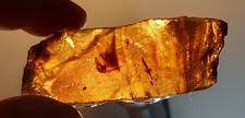 Ambra grezza del Mar Baltico 119 carati possibili inclusioni la più pregiata