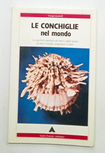 Conchiglie nel mondo di - conchiglie,