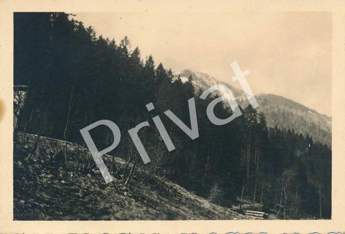 Foto wkii cacciatori - wkii, carri